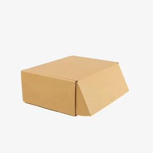Custom Kraft Box 1