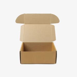 Custom Kraft Box