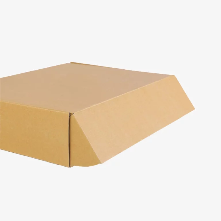 Kraft Mailer Box Packaging