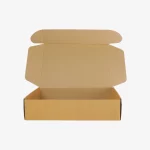Kraft Mailer Box Packaging