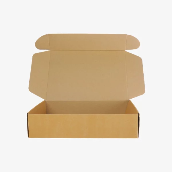 Kraft Mailer Box Packaging