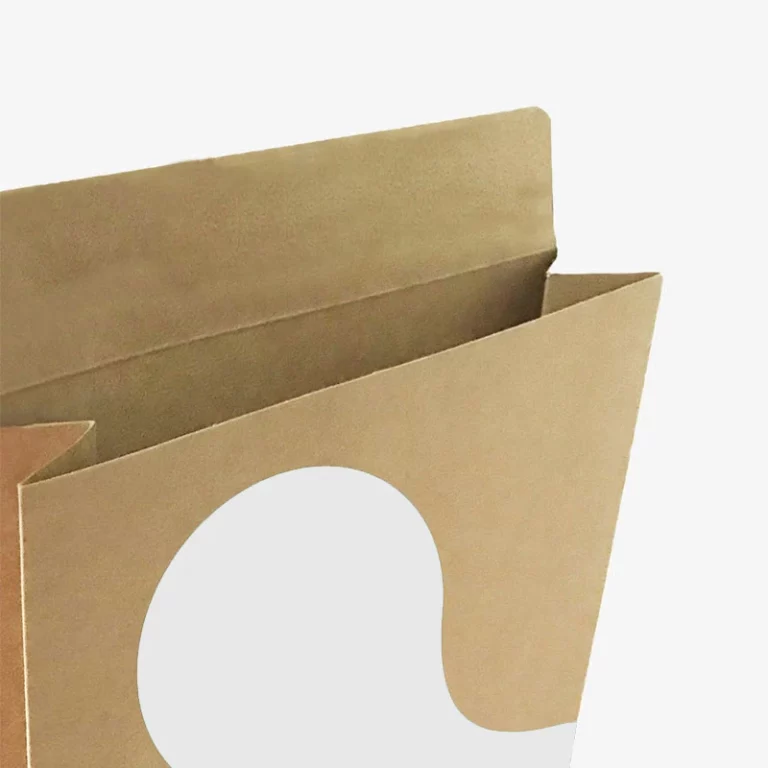 Paper Bag Mailer