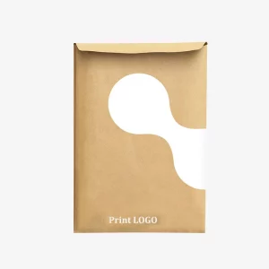 Paper Bag Mailer