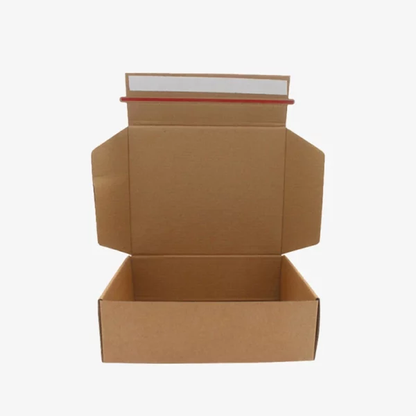 Zipper Adhesive Mailer Packaging Box 1