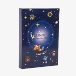 Flap Calendar Mystery Blind Box With Plastic Compartment Insert 1