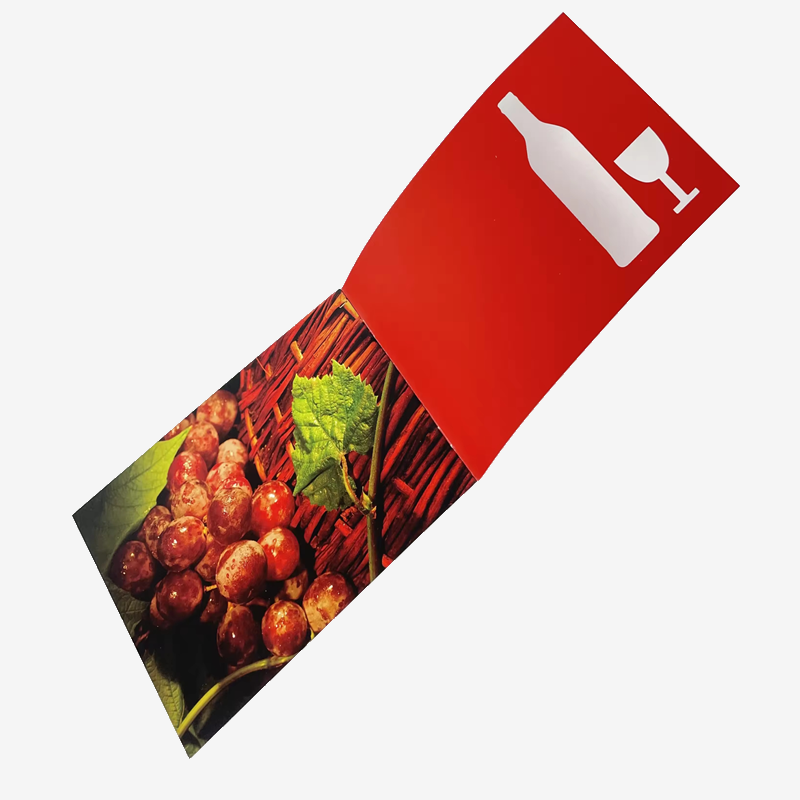 Holidaypacfactory Customized Printing Product Brochure related product