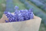 Wholesale kraft paper bag filled with purple flower bouquet - Holidaypac