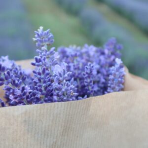 Wholesale kraft paper bag filled with purple flower bouquet - Holidaypac
