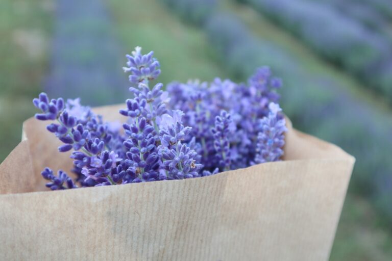 Wholesale kraft paper flower basket bouquet carrier bag by Holidaypac Factory