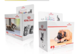 Holidaypacfactory dump bin display design service and artwork rendering