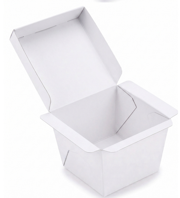 Holidaypacfactory insulated takeaway meal box user image 5