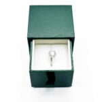 Holidaypacfactory green slide out ring box packaging main product view