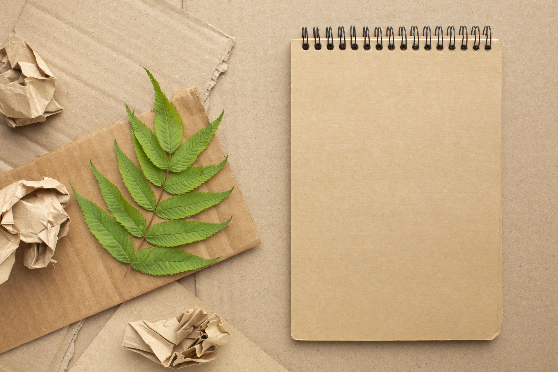 HolidayPAC eco friendly recycled paper notebook and green leaf sustainable paper packaging concept