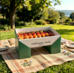 Holidaypacfactory light custom picnic sushi box fixed size die cut product image 3