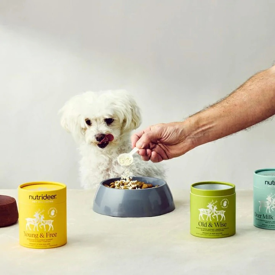 Pet Treat Paper Tube Packaging for Premium Animal Snack Brands | Holidaypacfactory related product image Holidaypacfactory