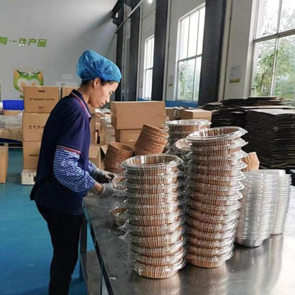 Factory worker packing square air fryer paper liners on production line at Holidaypacfactory