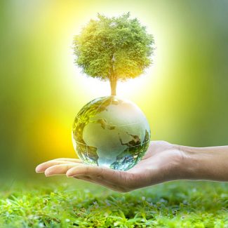Eco-Conscious
